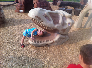 Dino Head Playground